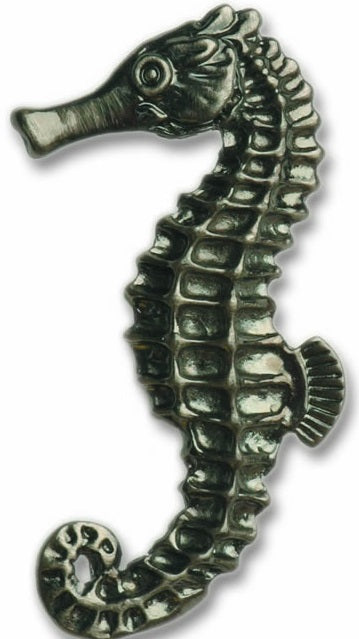 Bucksnort Large Seahorse Left Face