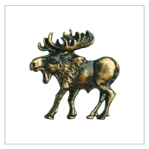 Wildlife and Animals