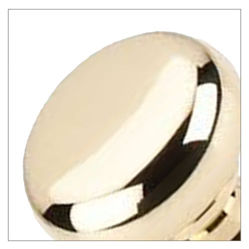 PVD Lifetime Brass
