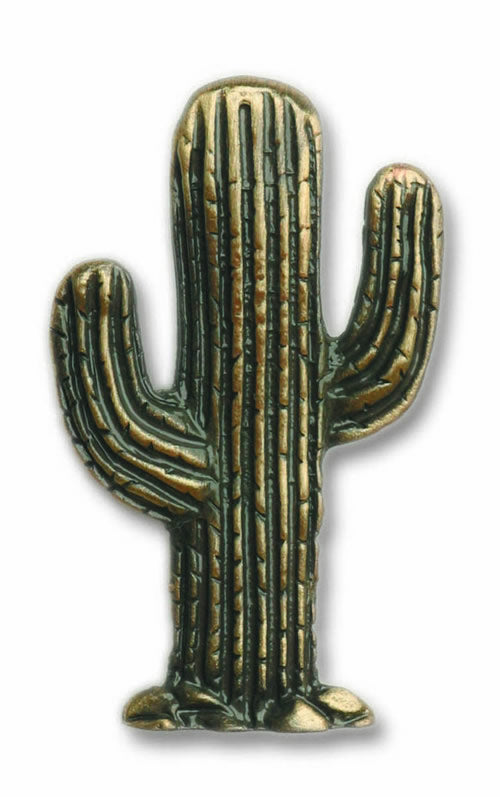 Bucksnort Small Cactus