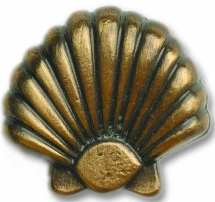 Bucksnort Large Seashell