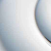 Baldwin Estate 5038 - ROSETTE ONLY