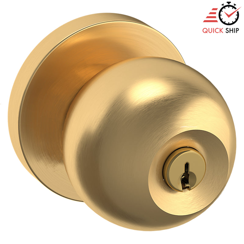 Lifetime Satin Brass