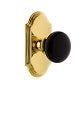 Polished Brass / Lifetime Brass