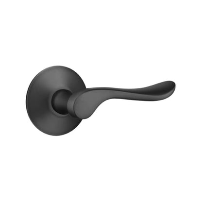 Emtek Luzern Interior Mortise Lever with Modern Rosette