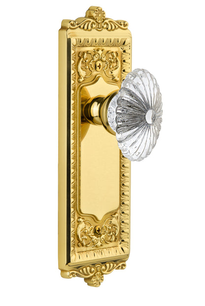 Polished Brass / Lifetime Brass